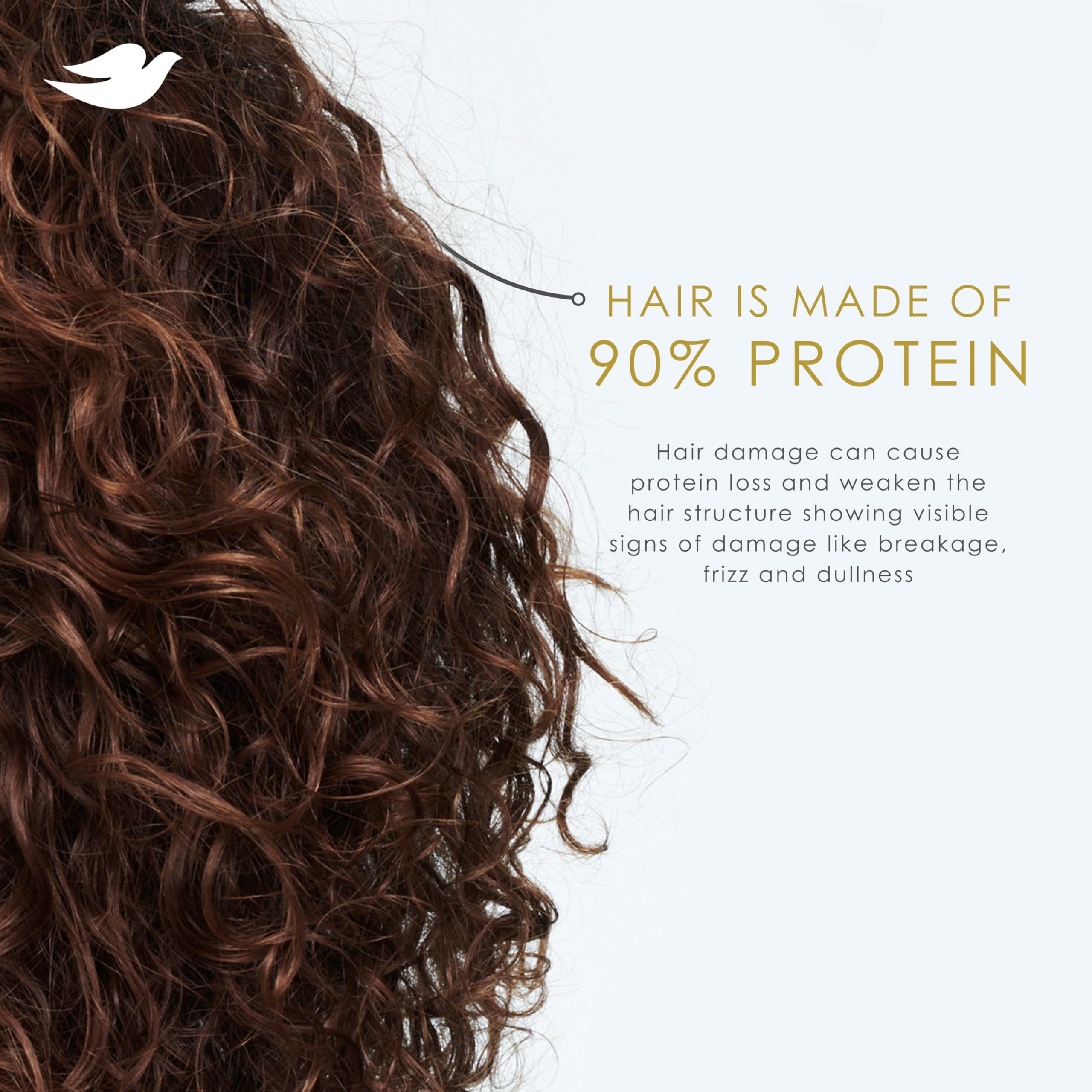 Dove Conditioner Coconut & Hydration for Dry Hair with Bio-Protein Care Technology and Coconut Oil 12 Fl Oz