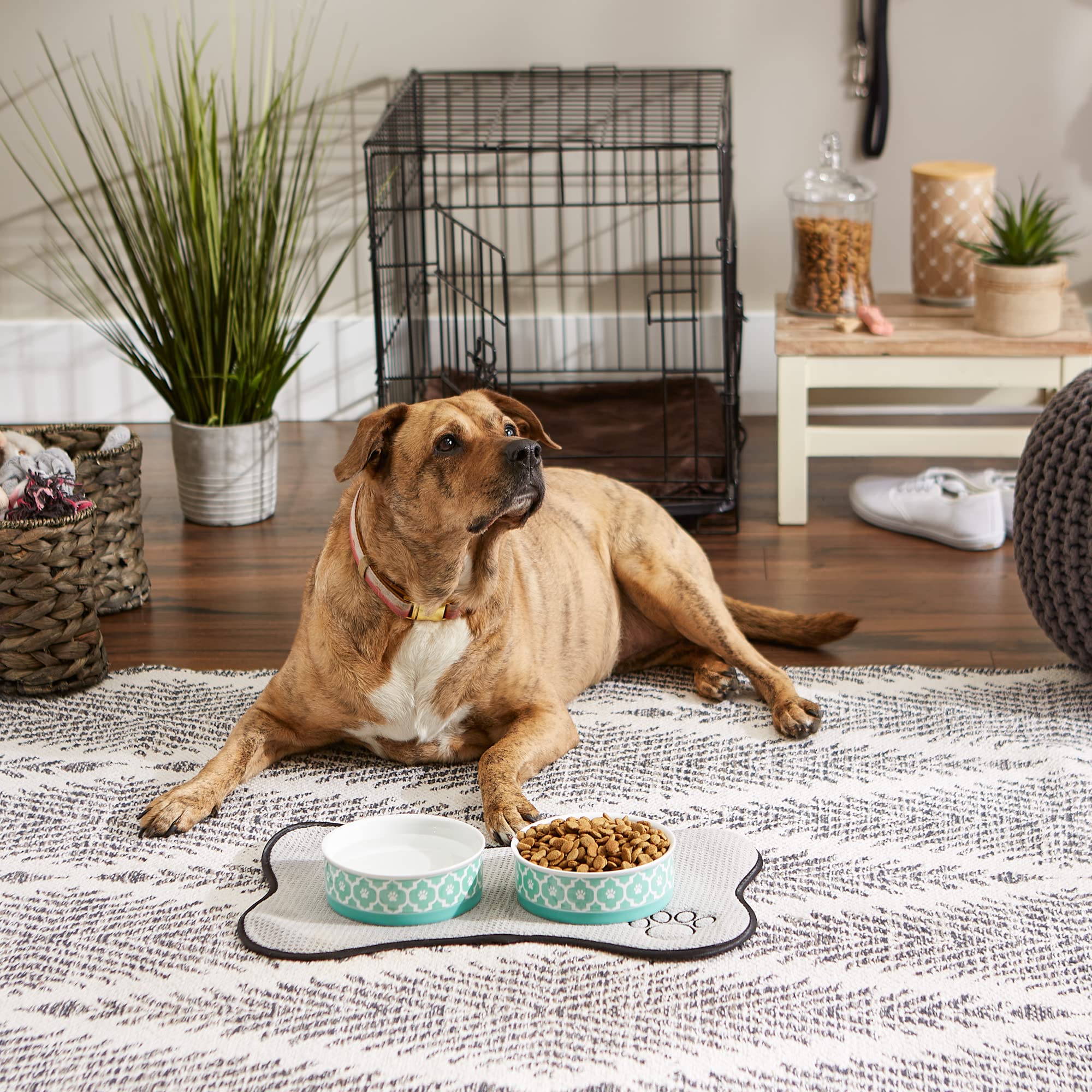 Bone Dry Lattice Collection Pet Bowl & Canister, Medium Set, 6x2", Aqua, 2 Count