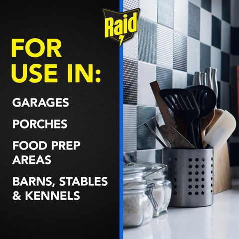 Raid FR10-RAID Raid® Fly/Bug Catcher 10 Count