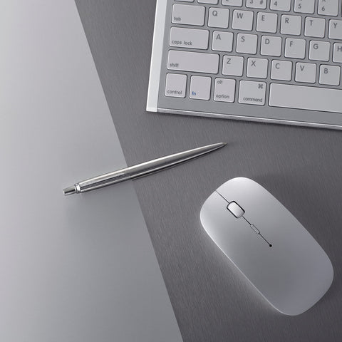 Parker Jotter Stainless Steel CT Ballpoint Pen, Blister pack