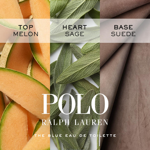 RALPH LAUREN FRAGRANCES Polo Blue - Eau de Toilette - Men's Cologne - Aquatic & Fresh - With Citrus, Sage, and Suede - Medium Intensity - 2.5 Fl Oz