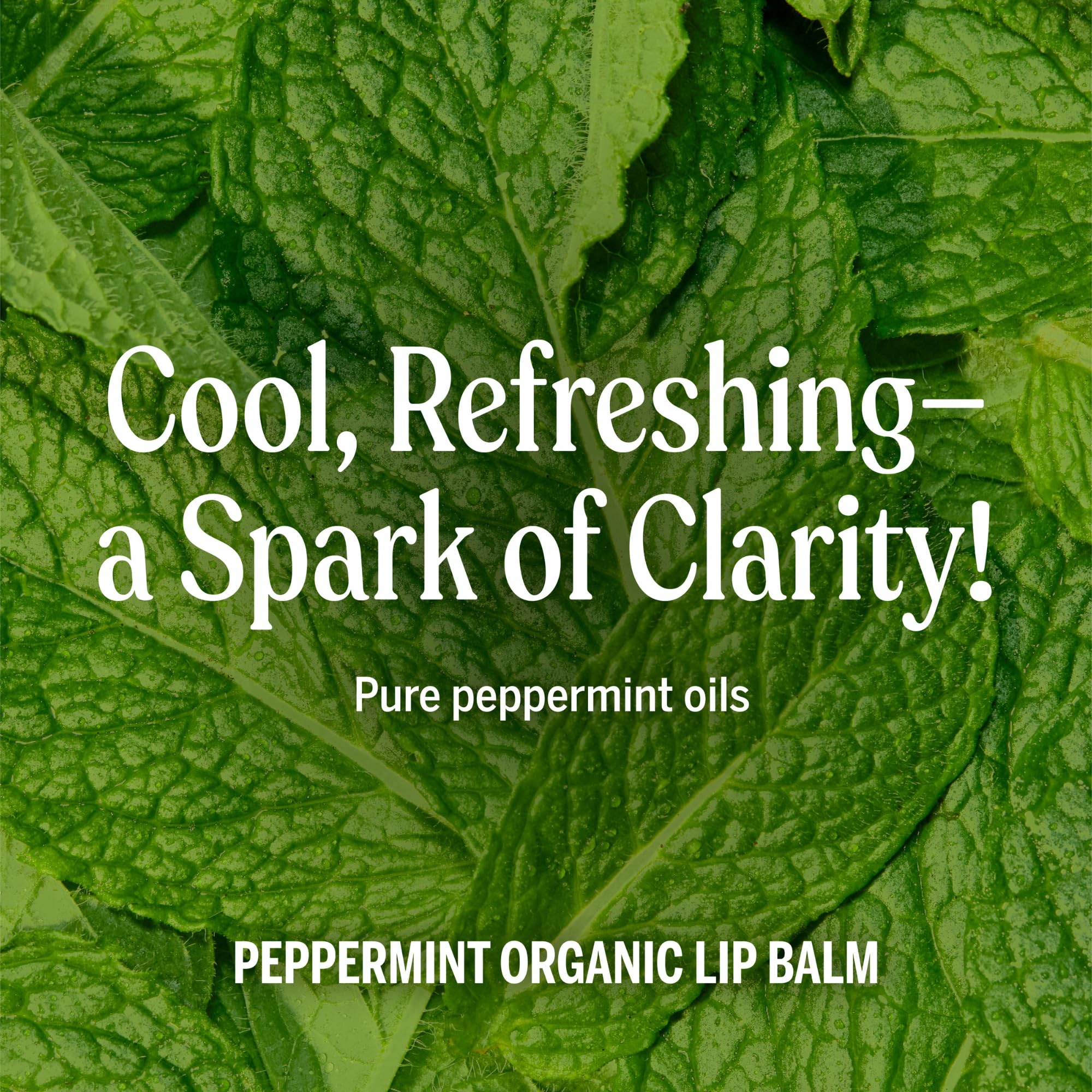 Dr. Bronner's - Organic Lip Balm (Peppermint, .15 ounce, 6-Pack) - Made with Organic Beeswax and Avocado Oil, For Dry Lips, Hands, Chin or Cheeks, Jojoba Oil for Added Moisture, Cooling and Hydrating