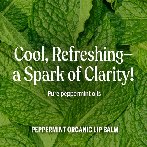 Dr. Bronner's - Organic Lip Balm (Peppermint, .15 ounce, 6-Pack) - Made with Organic Beeswax and Avocado Oil, For Dry Lips, Hands, Chin or Cheeks, Jojoba Oil for Added Moisture, Cooling and Hydrating