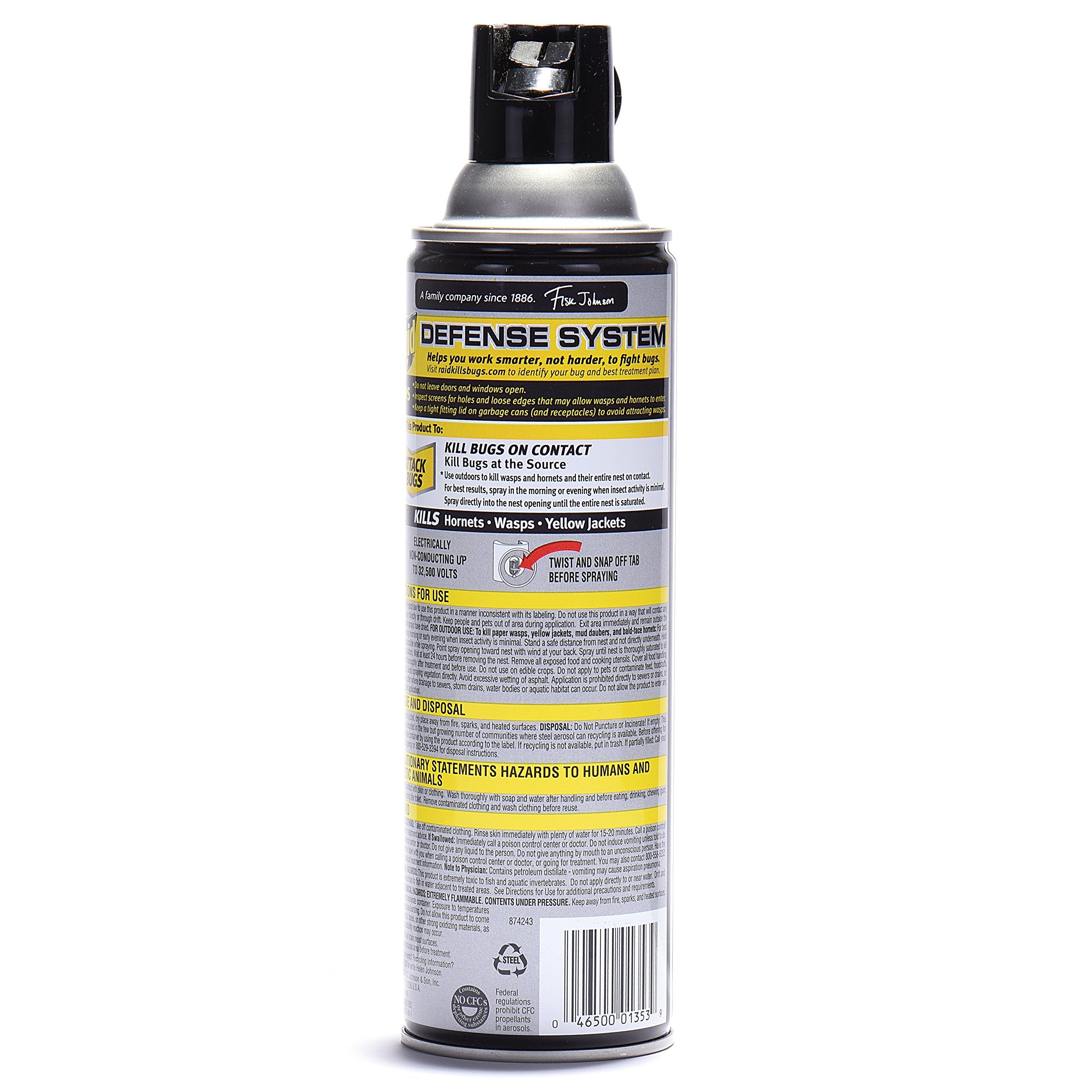 Raid Wasp and Hornet Killer Spray, 14 oz(pack of 3)